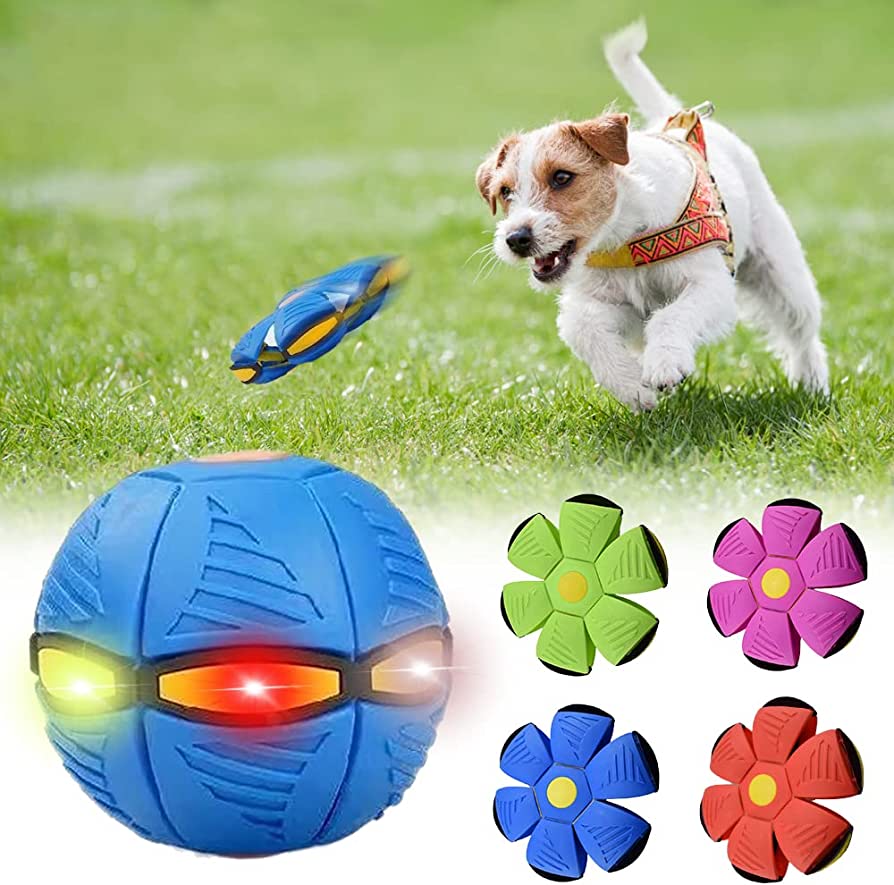 MacFloof Dog Frisbee