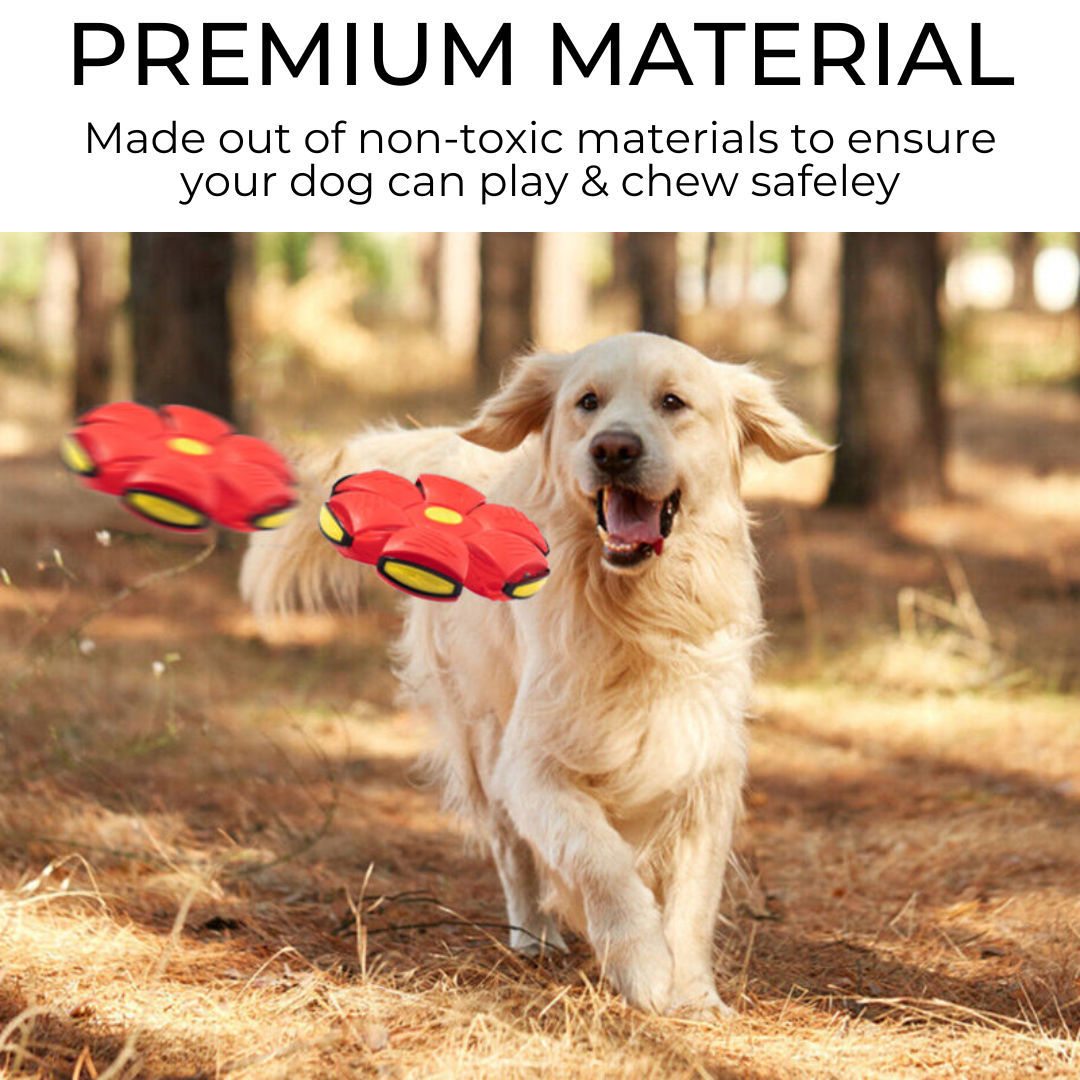 MacFloof Dog Frisbee
